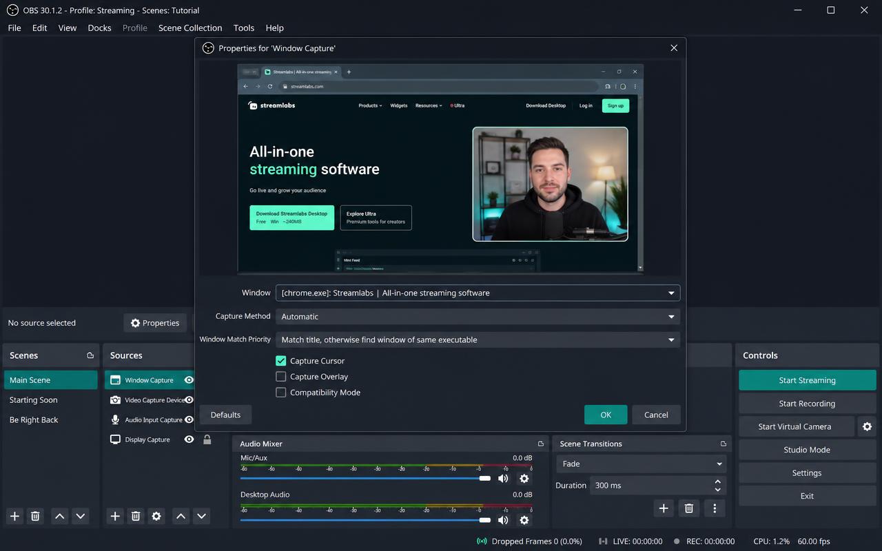 OBS Window Capture properties dialog with the browser window selected